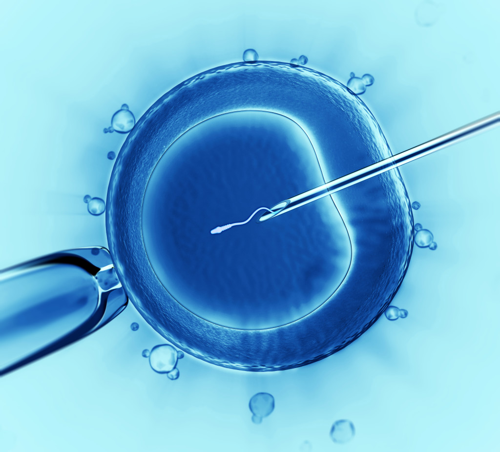 IVF Sperm Injection Rebuilding Health